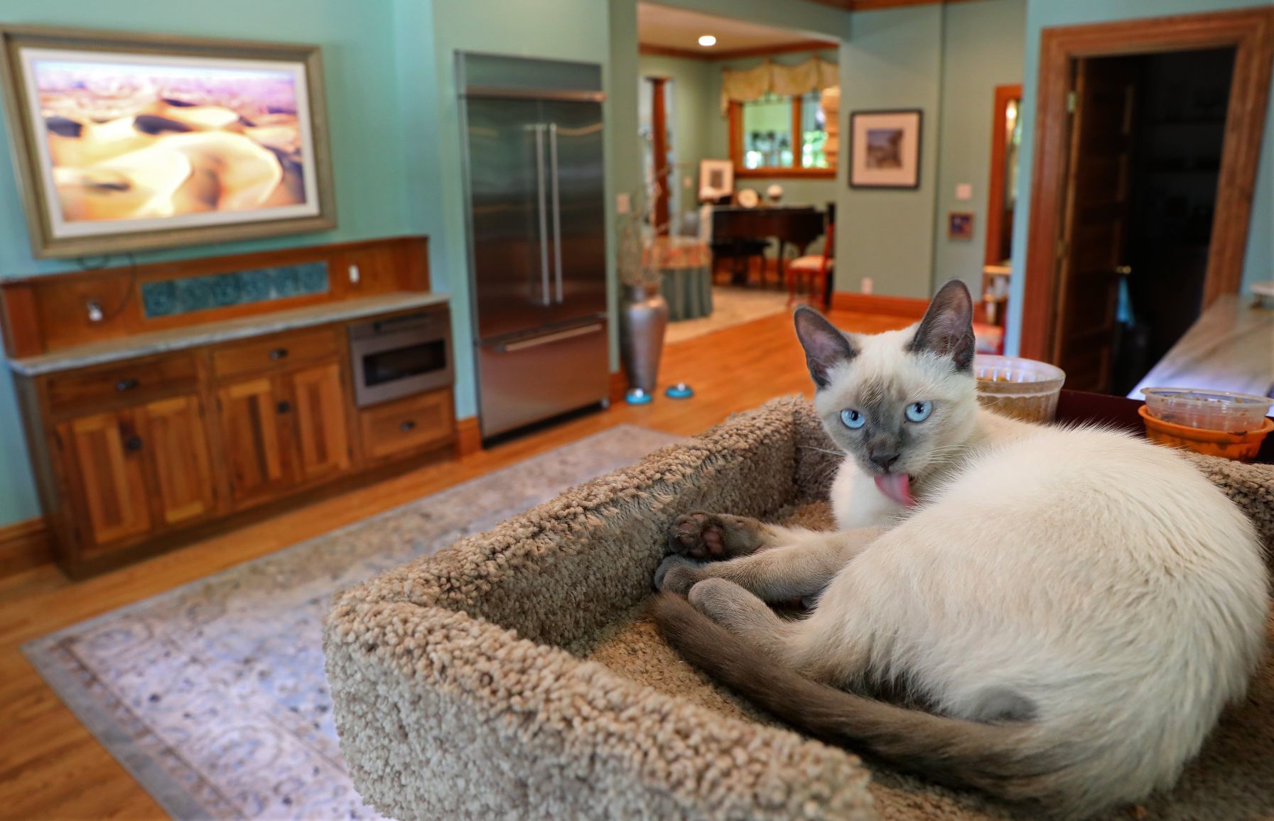 At Home: Amy Studt of Kirkwood